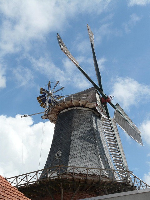 Gallery image 5
