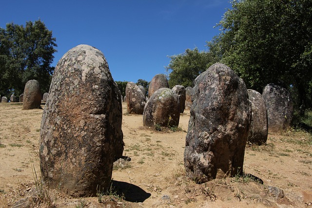 Image for Taking a day trip to the historic town of Évora.