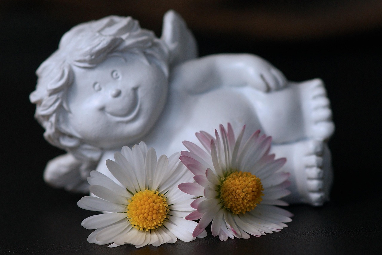 guardian angel, daisy, happy, white, blossom, bloom, angel, emotions, pleasure, face, serene, mood, fun, frohsinn, optimism, lust for life, delight, laugh, smiley, smilies, bright