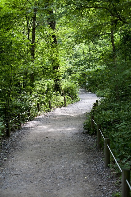 Gallery image 5