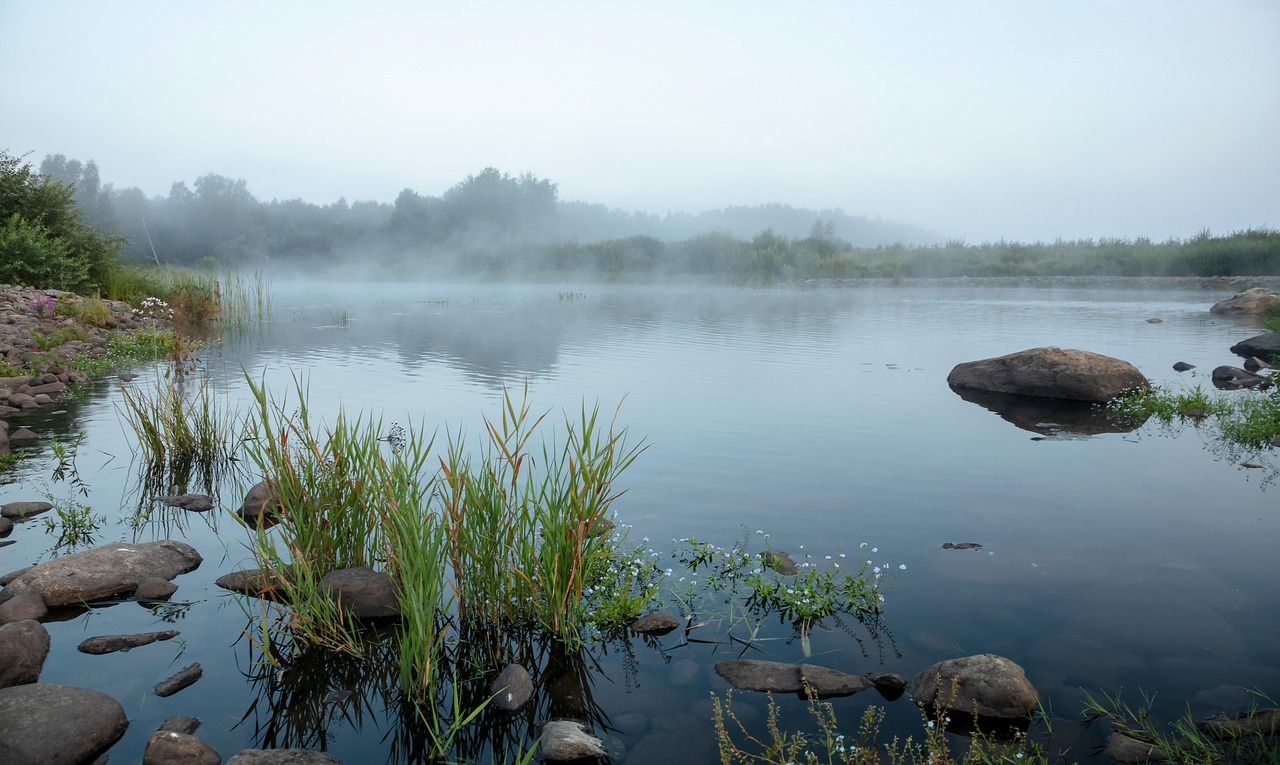 beach, lake, sunrise, fog, sleet, morning, reflection, finland, landscape