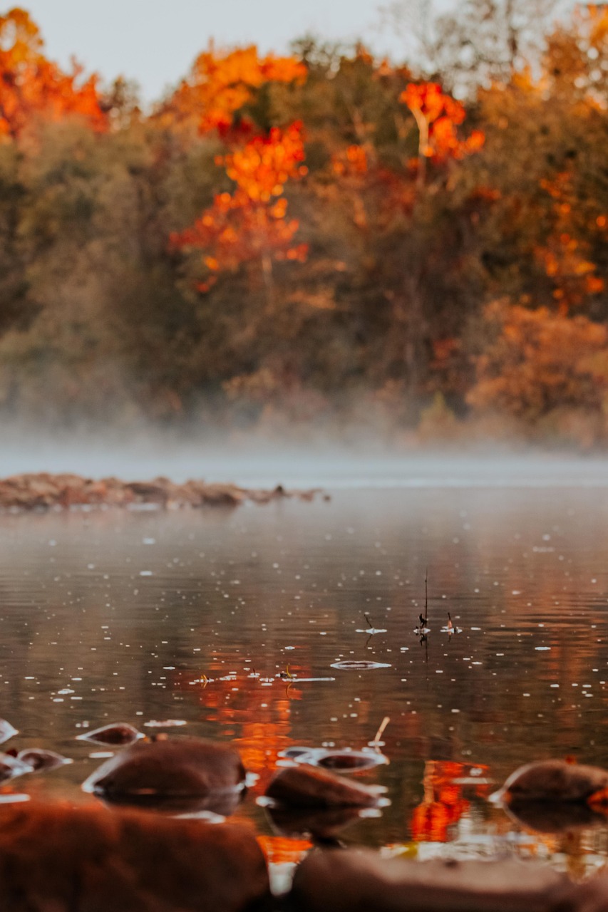 river, autumn, arkansas, nature, fall