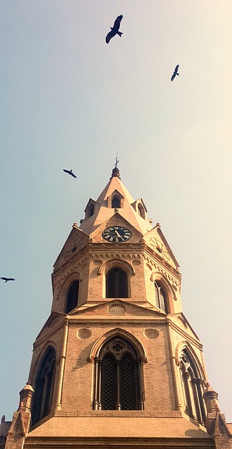Gallery image 2