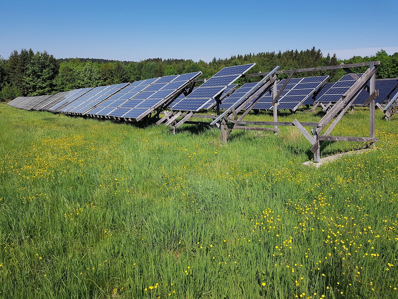 solar field, meadow, energy, electricity, solar energy, solar cells, solar, solar system, power generation, photovoltaic, renewable, energy transition, solar power, nature, forest
