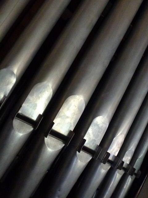 Gallery image 5