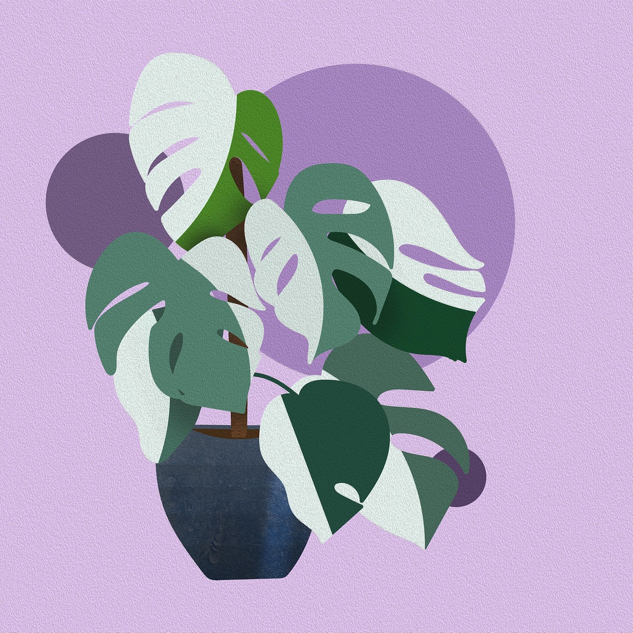 monstera, plant, boho, bohemian, botanical, drawing, background