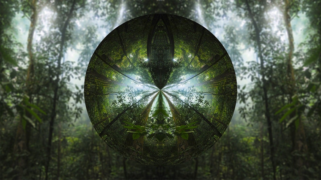 tree, circle, lens, forest, green forest, green tree, green circle