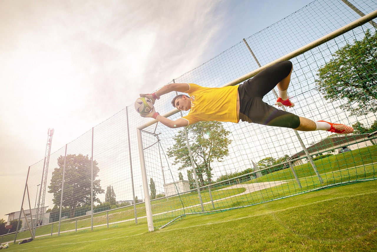 goalkeeper, ball, keeper, football, footballers, sport, ball game, football match, playing field, sports ground, soccer, football pitch, rush, shoot, soccer shoes, training, goal, exercise
