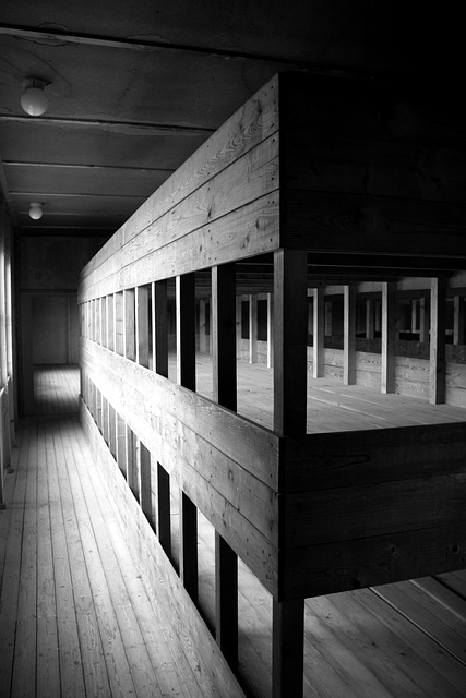 Gallery image 4