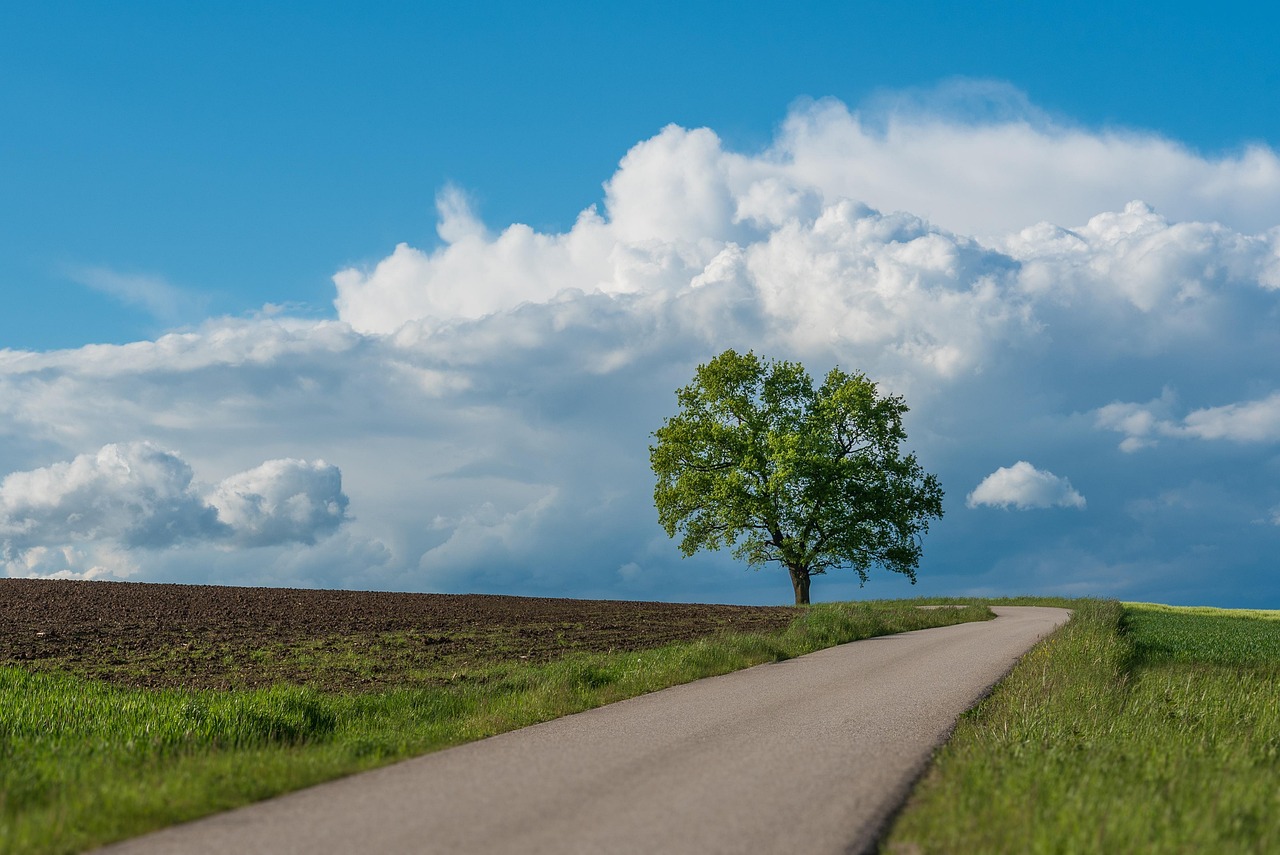 landscape, clouds, sky, tree, road, rural, meadow, nature