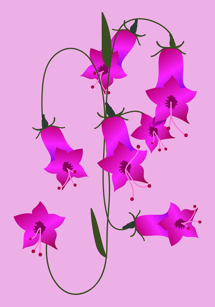 nature, bloom, flowers, bouquet, botanical, drawing, design, background, pink