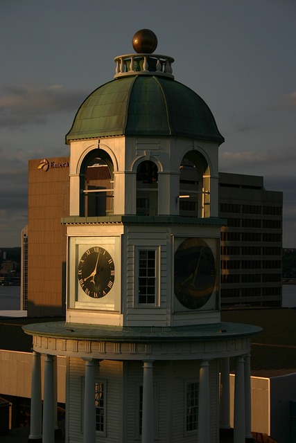Gallery image 4