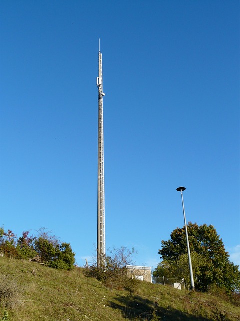 Gallery image 1