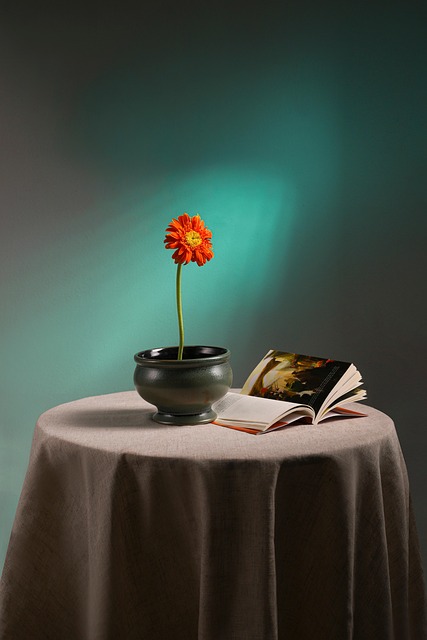 Gallery image 1