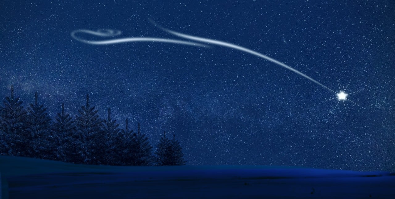 north star, stars, night, night sky, sky, trees, conifers, coniferous, conifer forest, starry sky, starry night, christmas background, christmas, christmas card, blue, background
