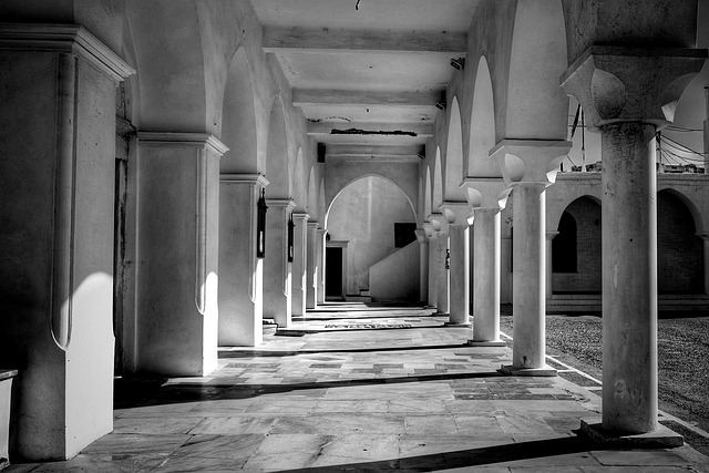 Gallery image 7