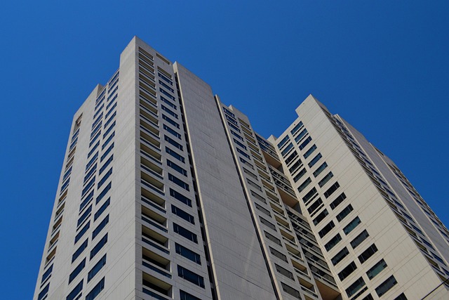 Gallery image 8