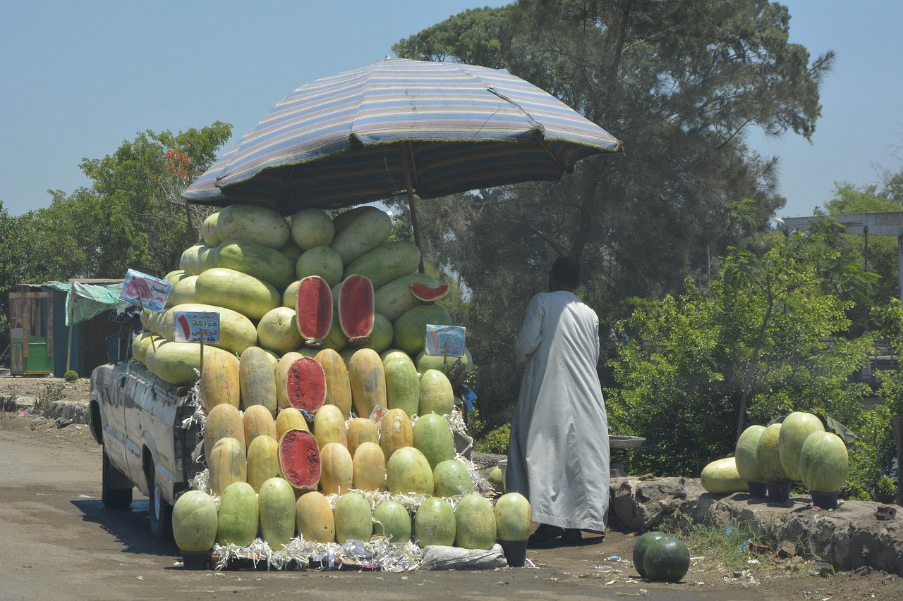 watermelon, market, street, grocery, street shop, egypt, cairo, old man, arabic man, travel, tourism, people, humanity, civilization, omar youssef, landmark