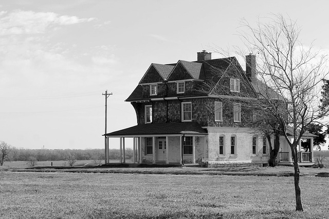 Gallery image 6