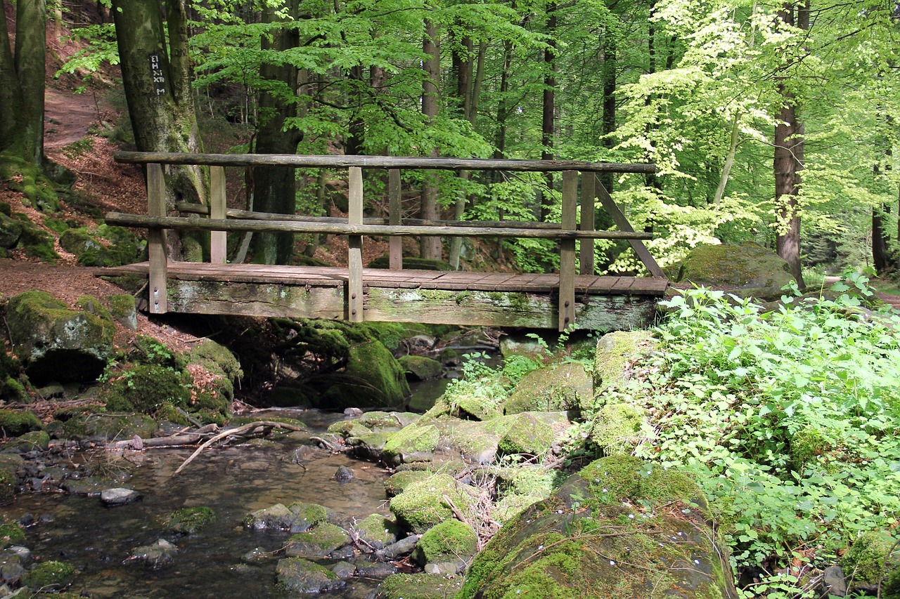 forest, bach, bridge, web, silver creek, water, watercourse, leopoldstal