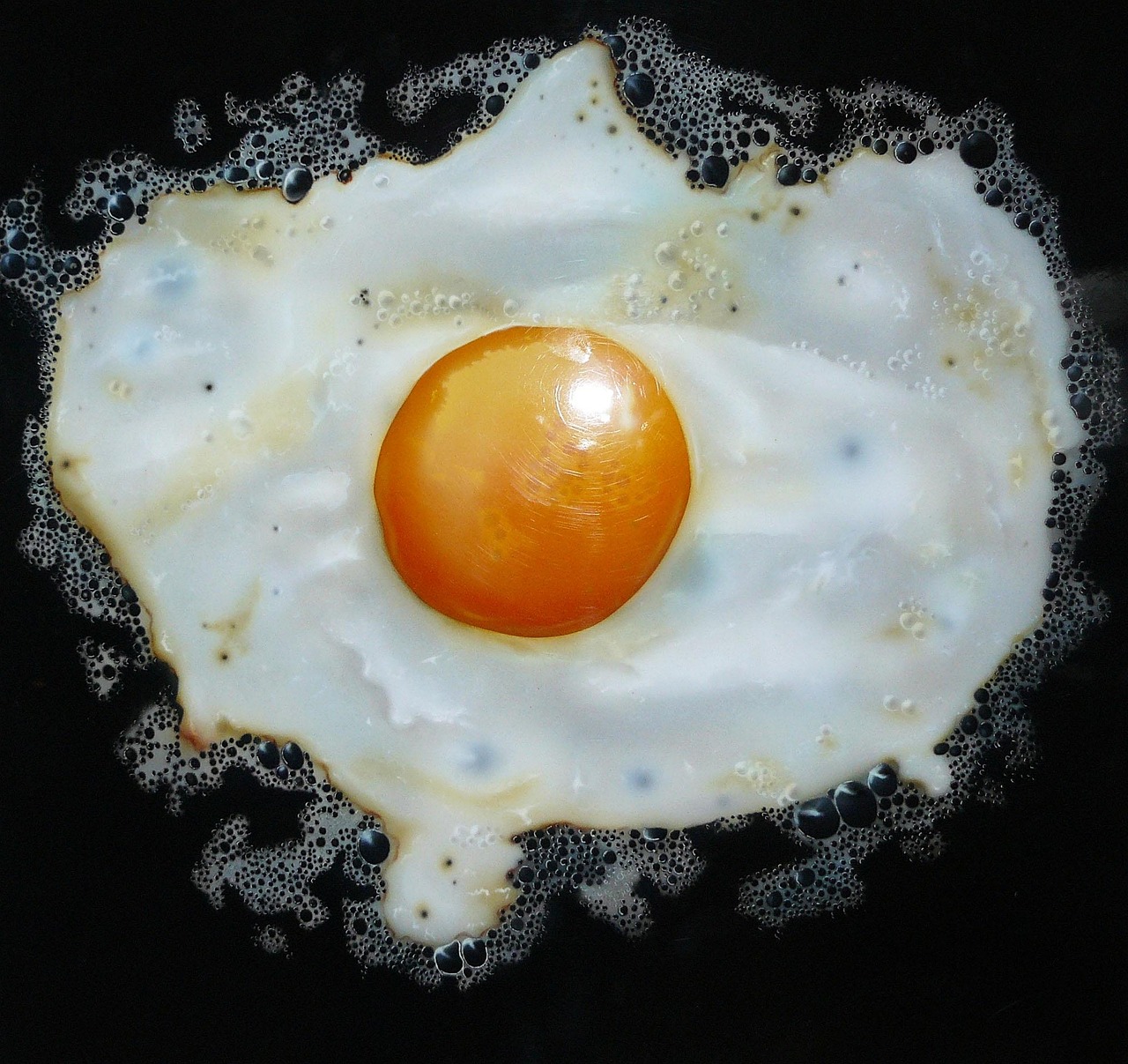 fried egg, meal, egg