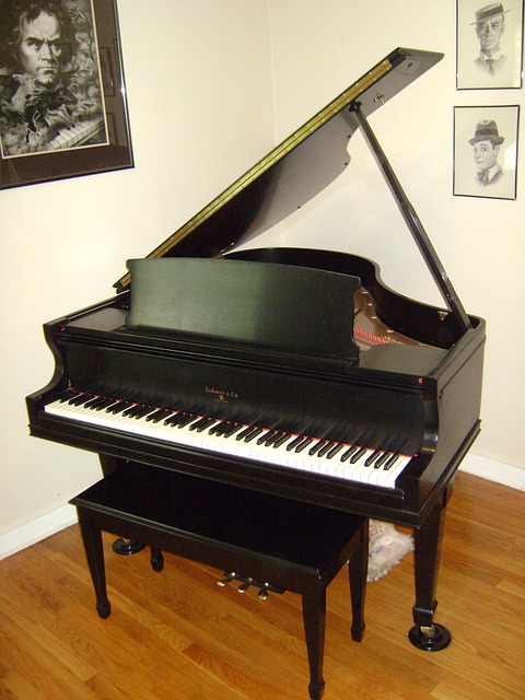 Gallery image 5