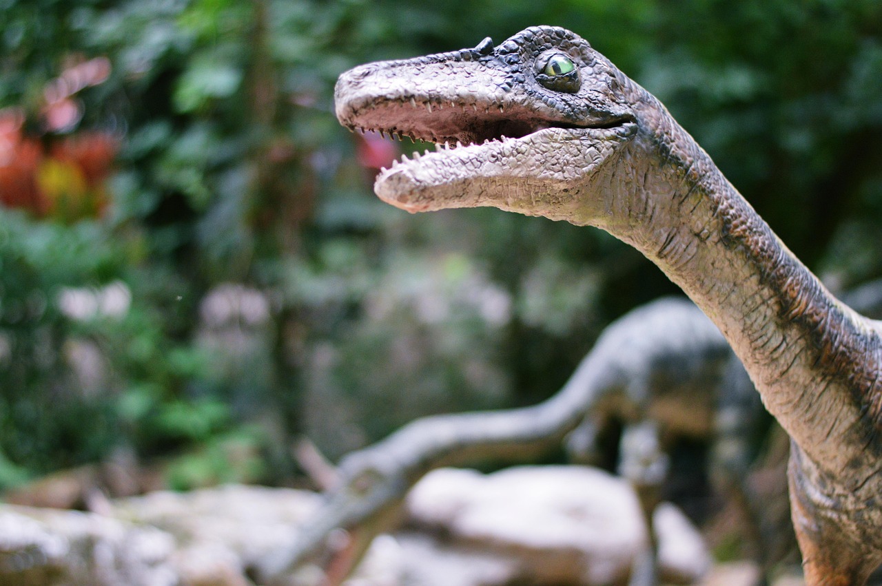 dinosaur, zoological, velociraptor, the animal, lizard, bratislava, dinopark