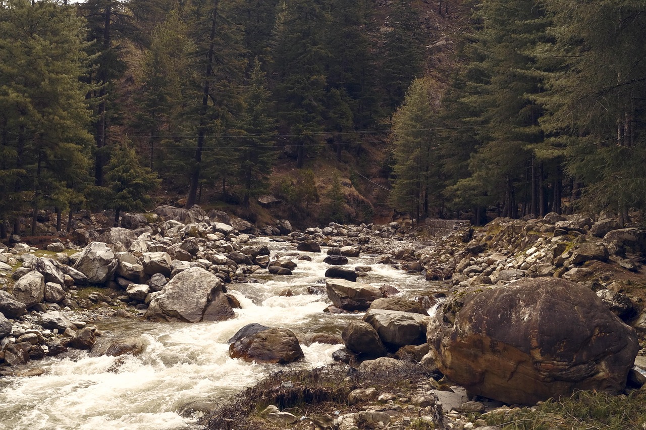 india, trees, into, the, wild, nature, travel, jungle, asia, scenery, water, landscape, green, natural, tourism, scenic, house, outdoor, hills, sky, wildlife, leaf, tree, river
