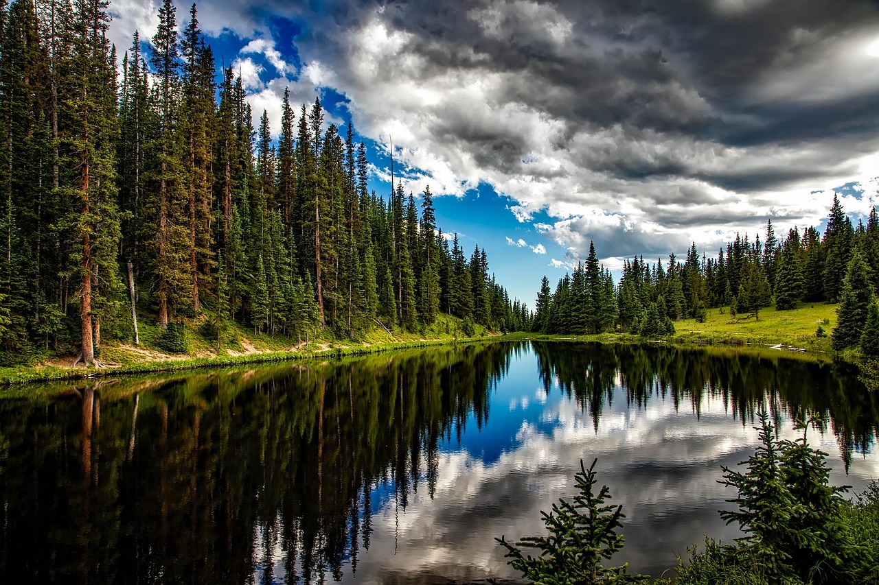 lake, conifers, clouds, trees, sky, cloudy sky, coniferous, conifer forest, forest, woods, woodlands, lake irene, colorado, water, reflection, water reflection, landscape, scenic, idyll, nature, outdoors, wilderness, countryside, rural