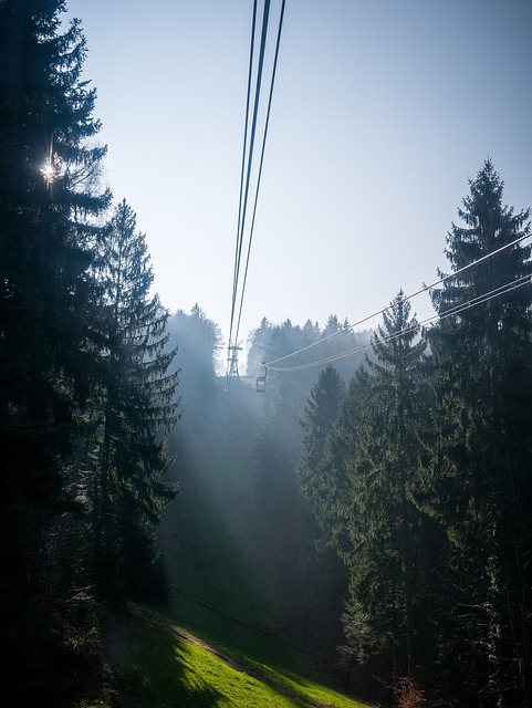 Gallery image 5