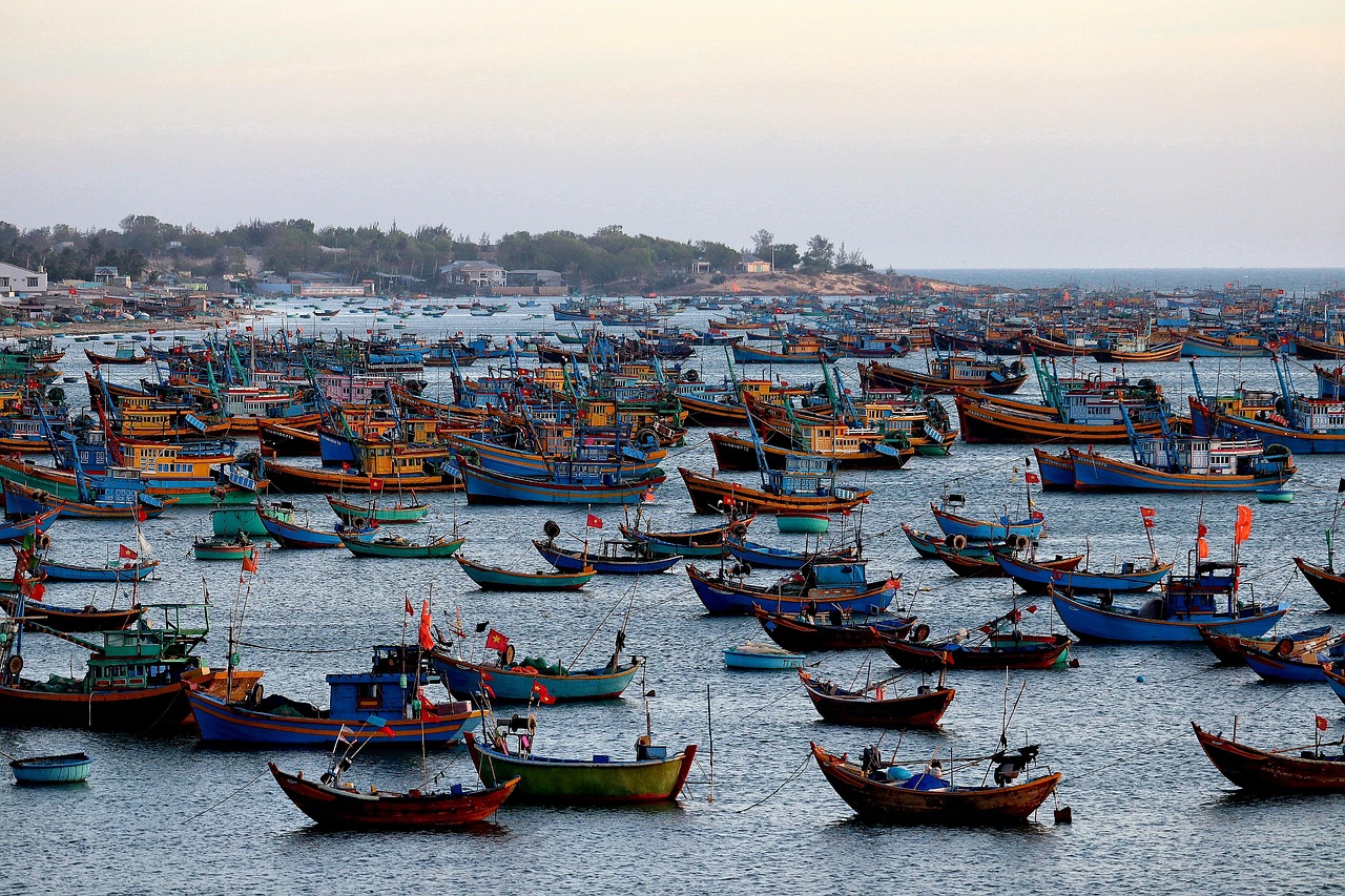 vietnam, mui ne, port, ships, fishing boats, sea, anchor