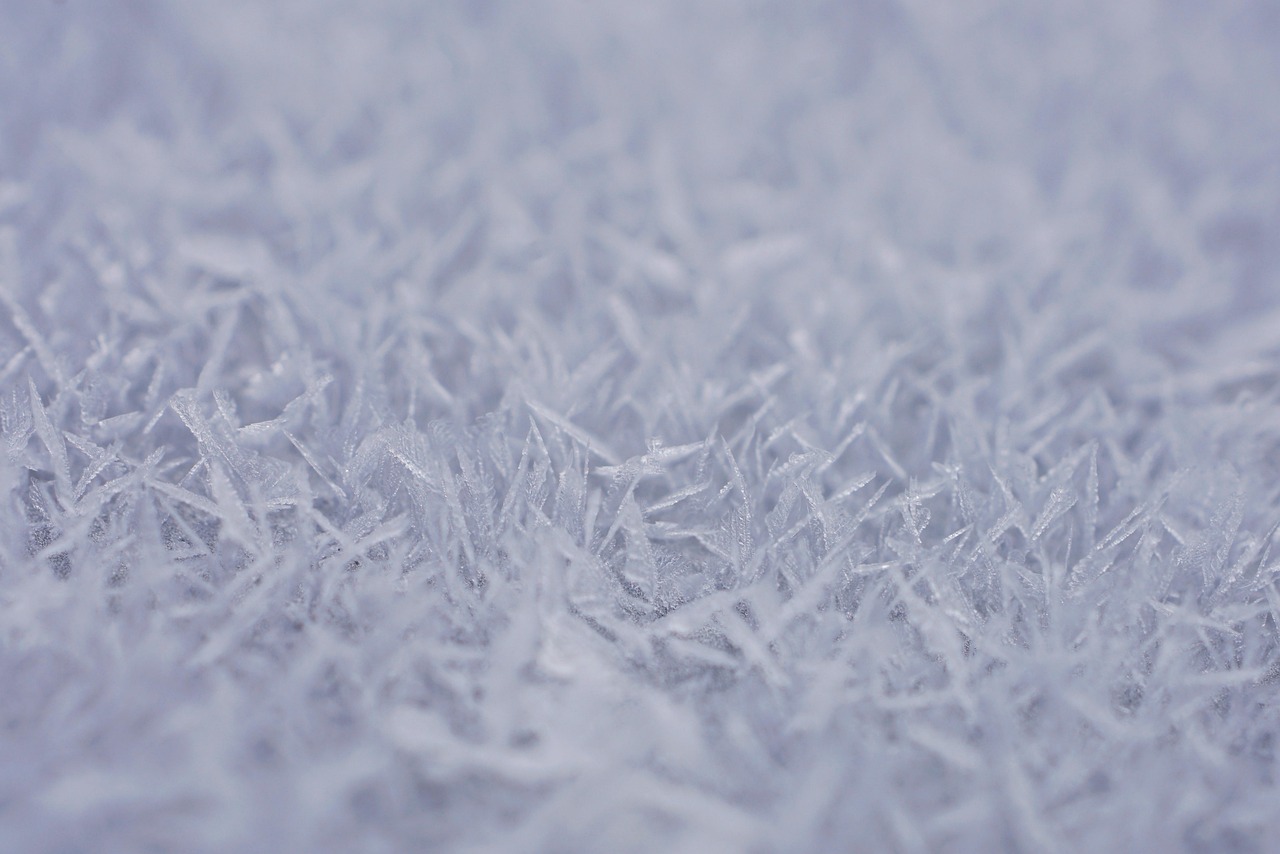 ice, frost, winter, frozen, ice needles, surface