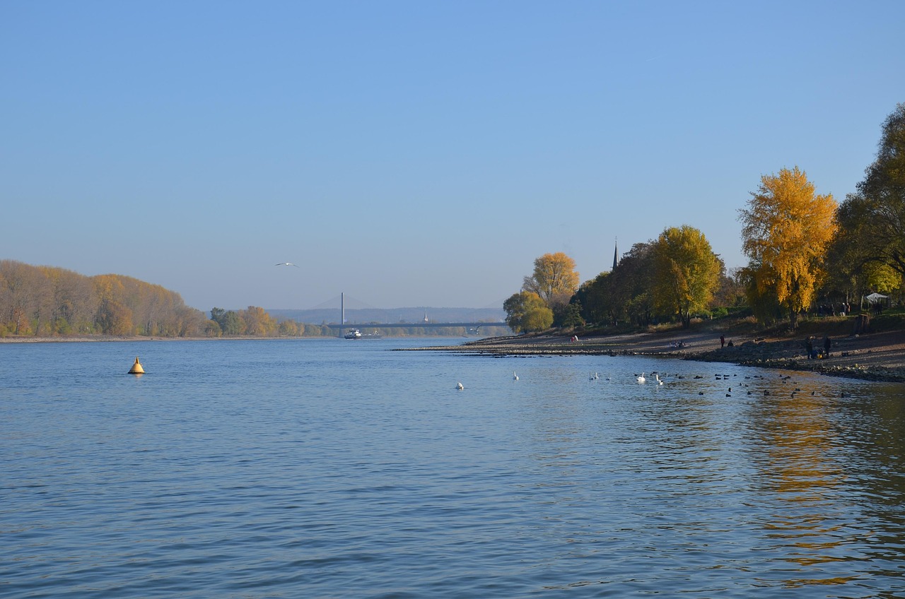 wasser, rhein, rhine, river, nature, landscape, waters