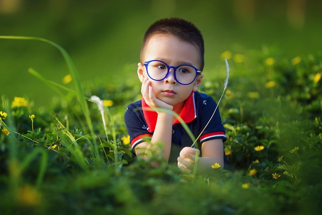 kid, boy, field, glasses, spectacles, eyeglasses, nature, child, young, childhood, pose, clever, smart, cute, plants, grass, outdoors, vietnam, asian, portrait