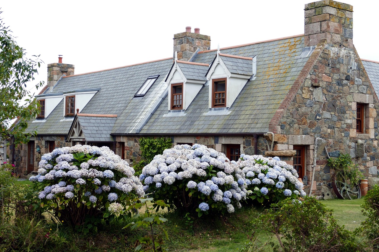 england, channel islands, united kingdom, jersey, sark, house, historical, garden, hydrangeas, flower, building