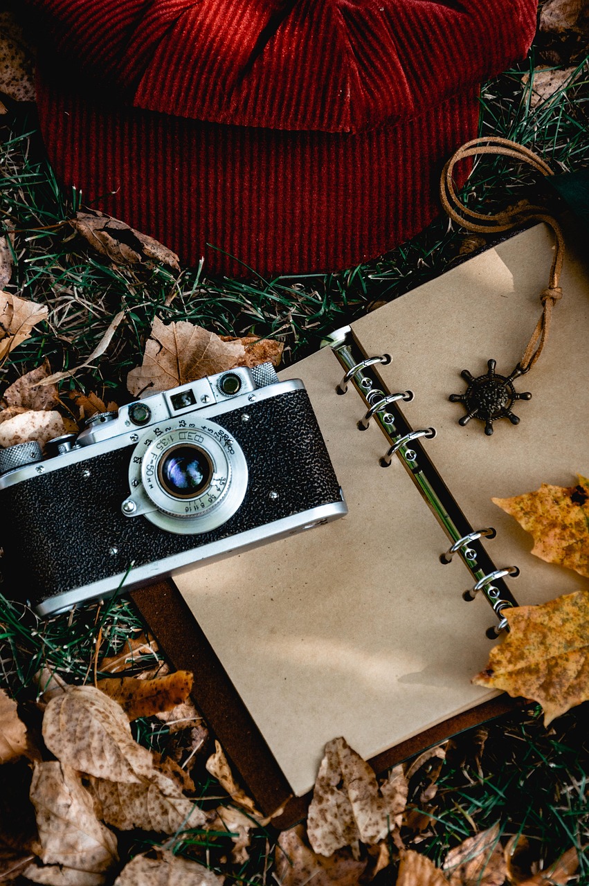 camera, hat, fallen leaves, retro, autumn, lawn, notebook, still life, vintage, retro camera, object shooting, autumn mood, cap, details
