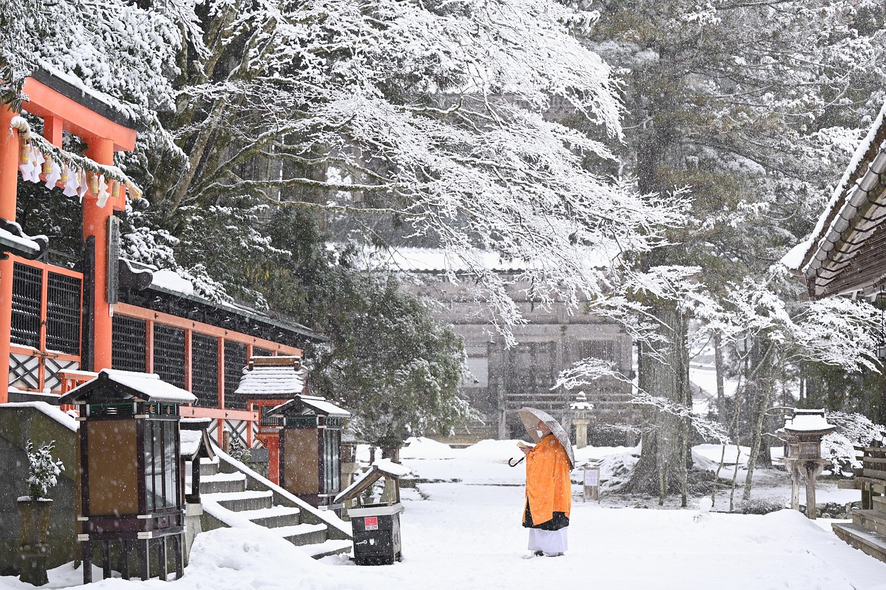 monk, umbrella, shrine, snow, prayer, koyasan