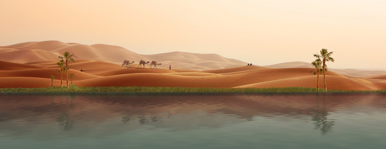 oasis, desert, caravan, palm trees, sand dunes, photomontage, composing, compositing