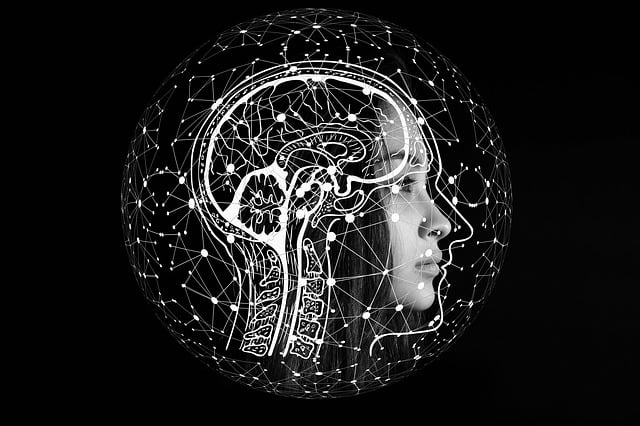 Image for The Science of Heat: How Capsaicin Interacts with Pain Receptors.