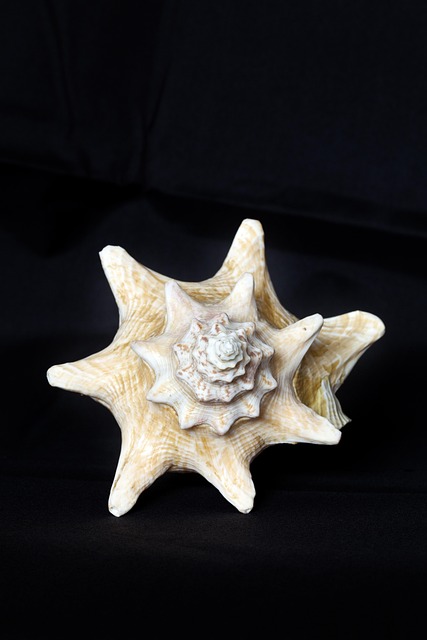 Gallery image 6