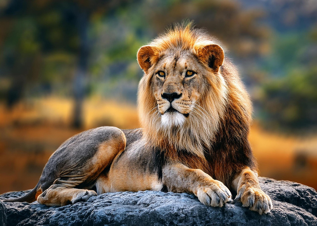 ai generated, lion, nature, grassland, animal, wildlife, regal