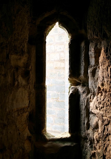 Gallery image 6