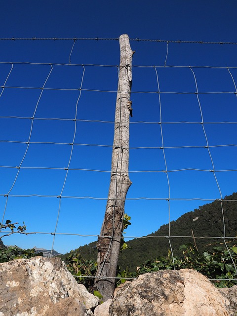 Gallery image 6