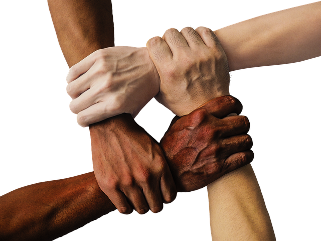 Image for Neoclassical Ballet Companies: Showcasing Diversity and Innovation.