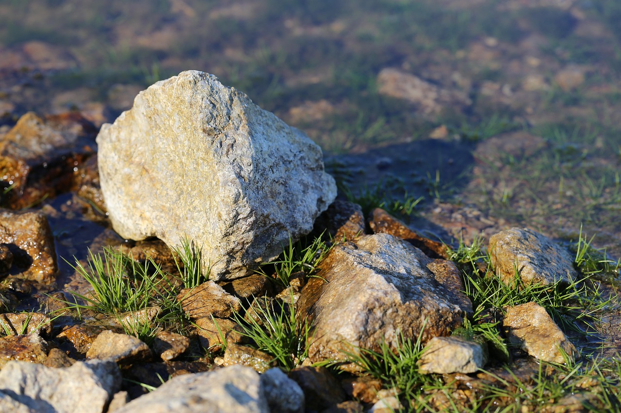 lake, nature, water, summer, grass, rock, textures, wet, royalty-free