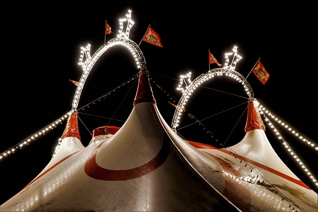 Image for Theatro Circo