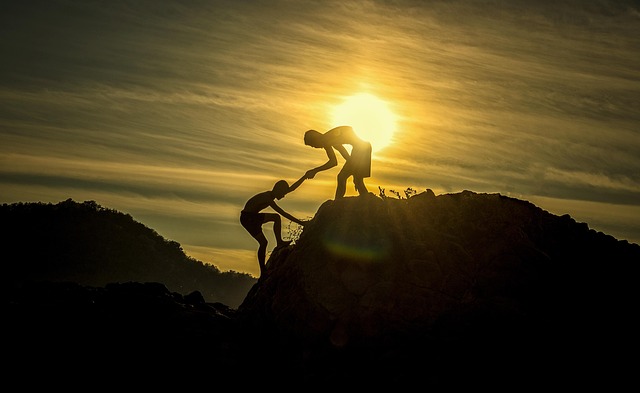 Image for Balancing Autonomy and Collaboration: Using Surveys to Fine-Tune Team Dynamics.