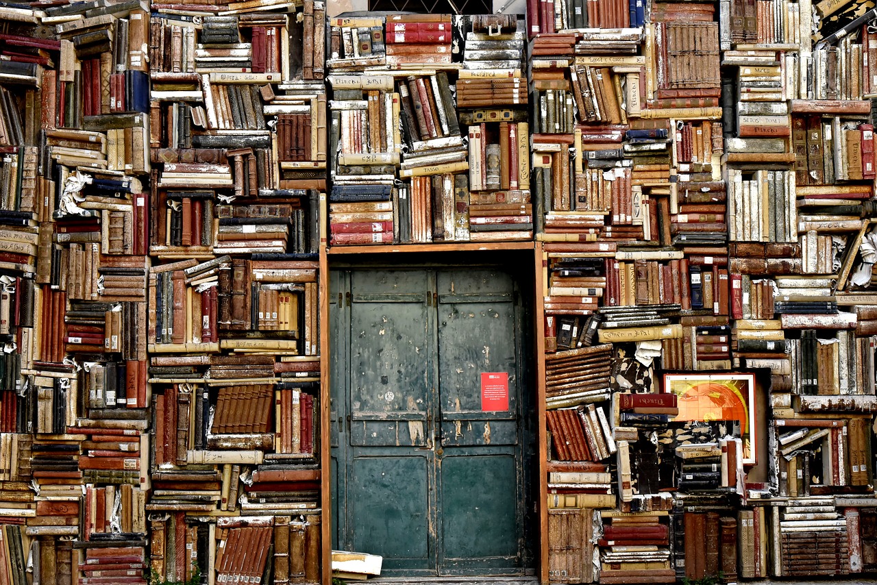 books, shelves, door, entrance, library, knowledge, wisdom, civic museum library, international gallery of modern art, pesaro, italy, background
