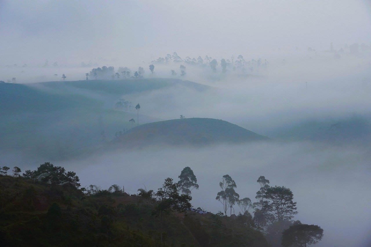 mountains, sunrise, fog, early morning, nature, landscape