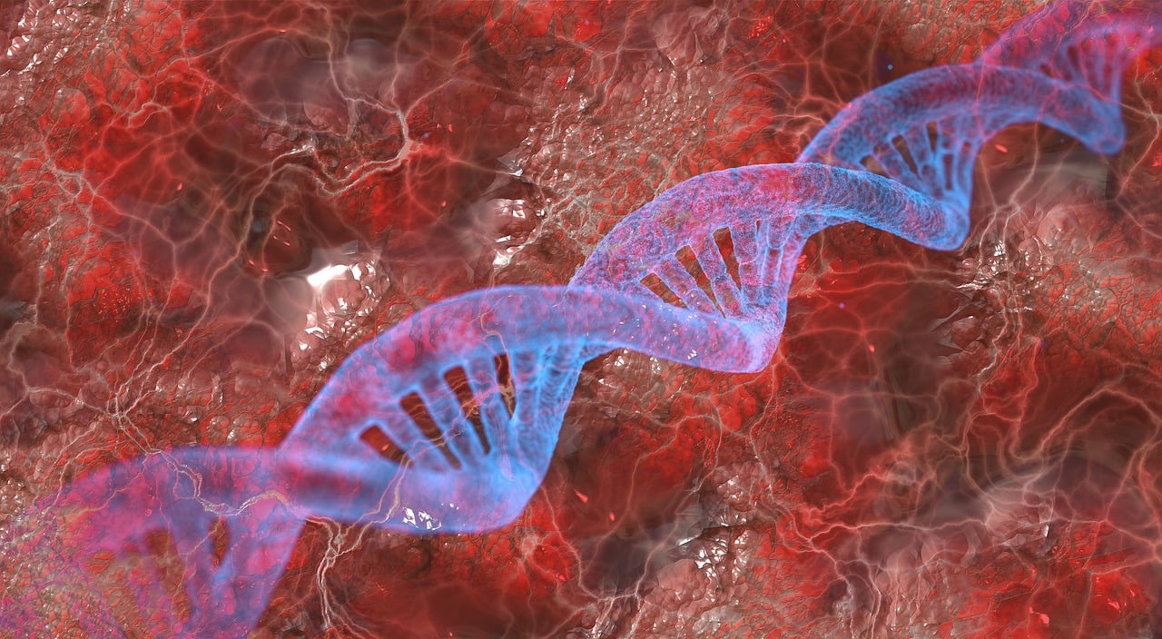 dna, abstract, microscopically, cell, gen, helix, science, medical, biology, genetic, medicine, molecule, chromosome, molecular, scientific, health, research, technology, biotechnology, life, development, structure, chemistry, biochemistry